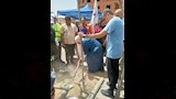 سيدة تقوم بزراعة شجرة