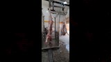 مجزر كلح الجبل بأسوان