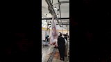 مجزر كلح الجبل بأسوان