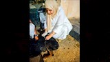 الحملة القومية لتطعيم الكلاب 