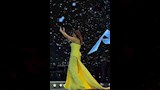 حفل أنغام بالقاهرة الجديدة (3)