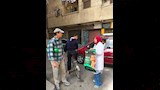 حملات لتعقيم الكلاب وتحصينها صد السعار
