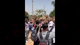 مشجعو نادي الزمالك (4)