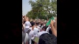 مشجعو نادي الزمالك (2)