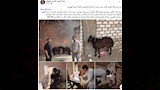 بوست الطبيب