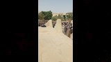 تشييع ضحايا حريق بني شقير بأسيوط (3)