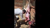 أثناء تقطيع لحم الخروف