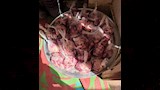 لحوم الخروف 