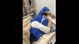 الشاب المجني عليه في المستشفى