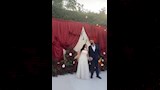 خطوبة ملك ابنة شقيقة الفنانة روجينا