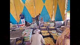 ذبابة تُكبد المزارعين خسائر كبيرة بالقليوبية (6)