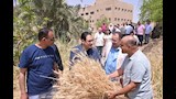 رئيس جامعة القاهرة يتفقد حقول القمح بكلية الزراعة وحظائر الماشية (25)