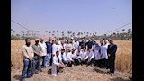 رئيس جامعة القاهرة يتفقد حقول القمح بكلية الزراعة وحظائر الماشية (14)