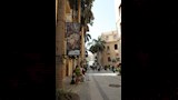 شارع الفن (22)