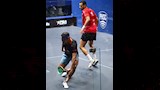 مصطفي عسل