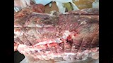 أغذية فاسدة وغير صالحة للاستهلاك الآدمي في بورسعيد