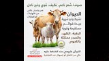 الأضحية