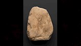 معارض أثرية (3)