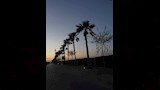 إمام عاشور (10) (1)