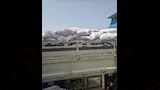 أطنان من الدواجن النافقة