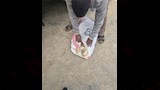 دواجن نافقة