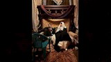 صور من كواليس تصوير فيلم أسد (1)