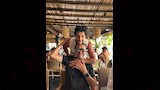 راغب علامة مع نجله خالد (2)