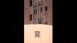 هبة أبو جامع أول محللة أداء في مصر 