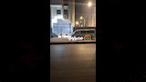 خروج جثامين ضحايا إطلاق النار العشوائي في أبنوب (8)