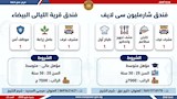 نشرة التوظيف الأسبوعية (16)