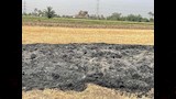 اثار حريق محصول قمح (3)