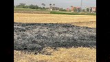 اثار حريق محصول قمح (6)