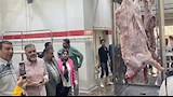 صور.. التشغيل التجريبي لمجزر ديرب نجم بالشرقية