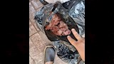ضبط عشرات الأطنان من اللحوم غير المطابقة للمواصفات (1)
