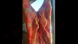 ضبط عشرات الأطنان من اللحوم غير المطابقة للمواصفات (5)
