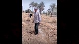 إنفجار خط مياه الشرب يدمر قمح مزارع بالفيوم 11