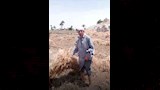 تسرب مياه الشرب يدمر محصول القمح لفلاح بسيط بالفيو