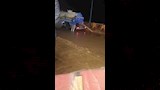 غرق الطريق السياحى ببحيرة قارون 2