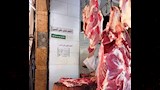 محلات الجزارة