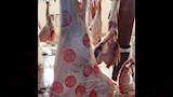 محل جزارة في أسوان 