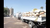 توريد أكثر من 223 ألف طن قمح داخل مواقع التخزين ببني سويف (6)