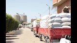 توريد أكثر من 223 ألف طن قمح داخل مواقع التخزين ببني سويف (7)