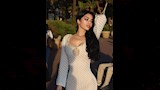 هيفاء وهبي (6)
