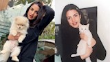 16 صورة لـ درة بين الماضي والحاضر.. والجمهور يعلق 