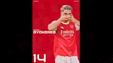 نجوم أرسنال يتوجون بلقب الدوري الإنجليزي (8)