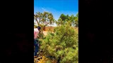 أعمال المكافحة
