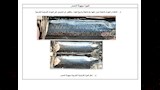 هيئة الدواء تحذر من تشغيلة مجهولة المصدر لكريم شهير