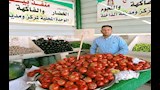 طماطم