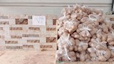 البطاطس ب7.5 جنيهات في الوادي الجديد