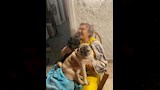 والدة ناهد السباعي 